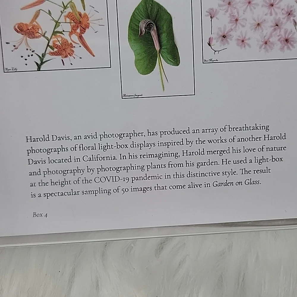 HAROLD DAVIS PHOTOGRAPHY‎ Blank Floral Green Garden Greeting Note Card Set of 10